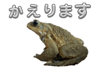 833376310