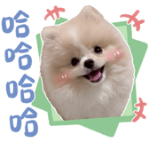 833376337
