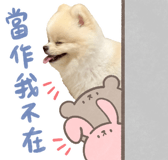 833376341