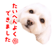 833381745