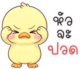 ลายที่ 5