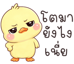 ลายที่ 47