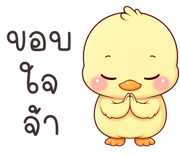 ลายที่ 29
