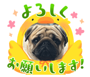 833386160