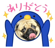 833386162