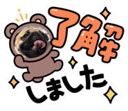833386164