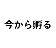 833387650