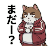 833394541