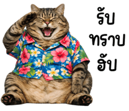 833396507