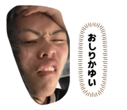 833401311