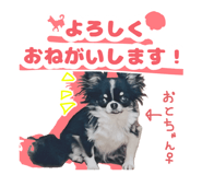 833403849