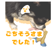 833403856