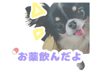 833403860