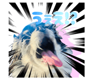 833403869