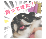 833403872