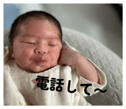 833407533
