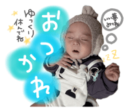 833408030