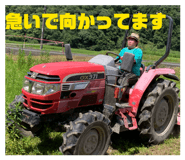 833408798