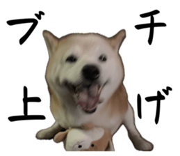 833410089