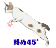 833411935