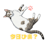 833411938