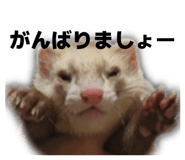 833412806