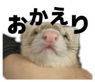 833412810