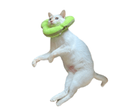 833423002
