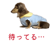 833423972