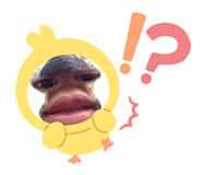 833428799