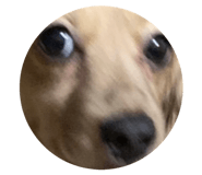 833430346
