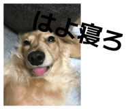 833430348