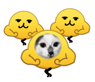 833435604