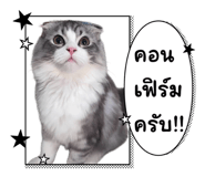 833438345