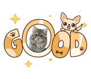 833438346