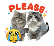 833438357
