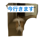 833439514