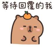 833440877