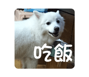 833441923