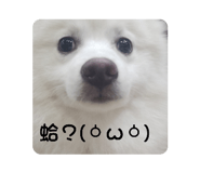 833441924