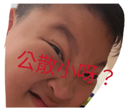 833442571