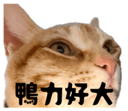 833443441