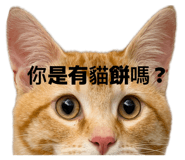 833443445