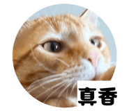 833443447