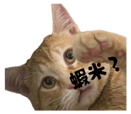 833443449