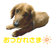 833447302