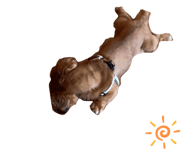 833447304