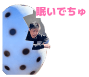 833447338