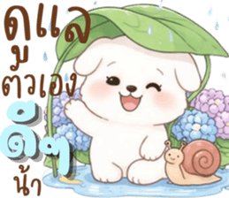 น้องหมาสีขาวน่ารัก (ใช้ได้ทุกฤดูกาล) รูปที่ 23