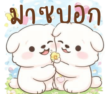 ลายที่ 30